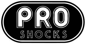 Suspension Components - Shock Absorbers - Circle Track - Pro Shocks