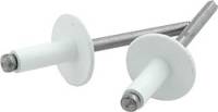 Hardware and Fasteners - Rivets and Components - Allstar Performance - Allstar Performance 3/16" Large Head Rivets - White - (250 Pack) - Steel Mandrel