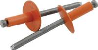 Hardware and Fasteners - Rivets and Components - Allstar Performance - Allstar Performance 3/16" Large Aluminum Head Rivets - Orange - (250 Pack) - Steel Mandrel